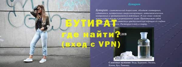 крисы Бородино