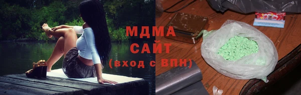 крисы Бородино