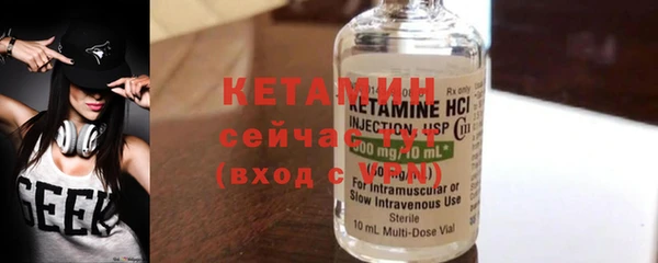 крисы Бородино
