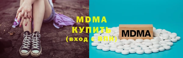 крисы Бородино