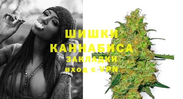 крисы Бородино