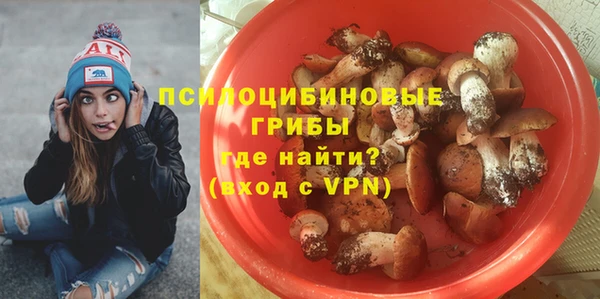 крисы Бородино