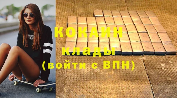 крисы Бородино