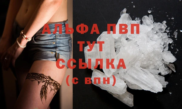 крисы Бородино