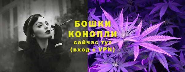 крисы Бородино
