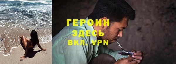 крисы Бородино