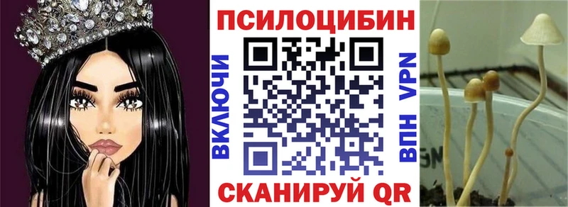 Купить  Сланцы  Псилоцибиновые грибы прущие грибы 